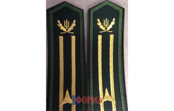 Погони лісової охорони старші 1 зірка