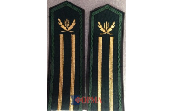 Погони лісової охорони старші