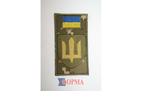 Шеврон-заглушка на липучці "Сухопутні війська ЗСУ"
