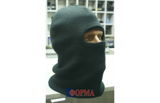 Підшоломник зимовий (полин)